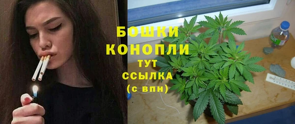 мдпв Ельня