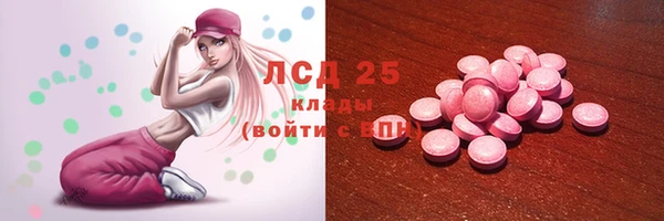 гидропоника Новозыбков