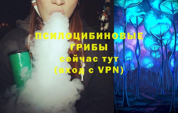гидропоника Новозыбков