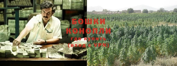 гидропоника Новозыбков