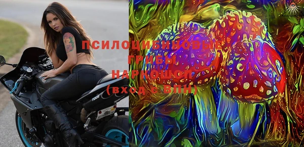 гидропоника Новозыбков