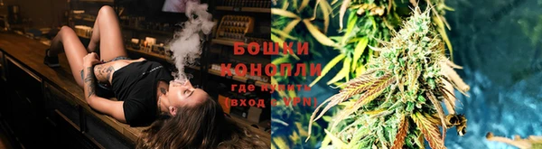 гидропоника Новозыбков