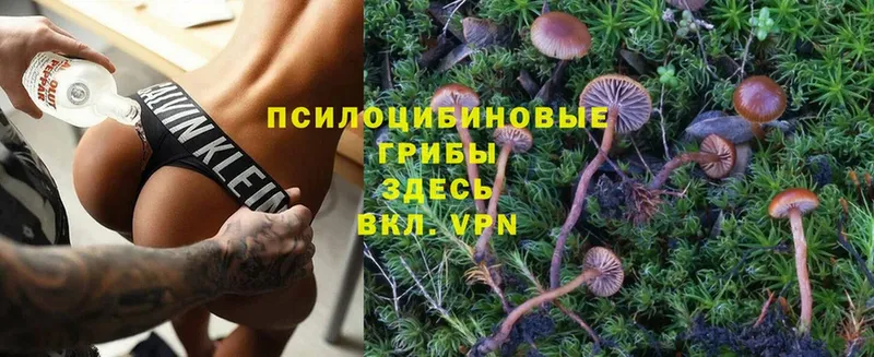 МЕГА зеркало  Нижний Ломов  Псилоцибиновые грибы Psilocybine cubensis 